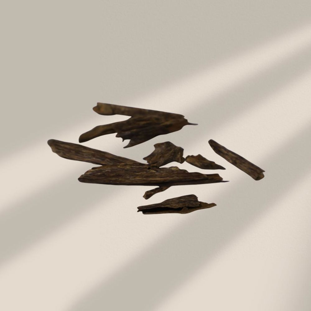 عود الفاخر_thumbnail_0