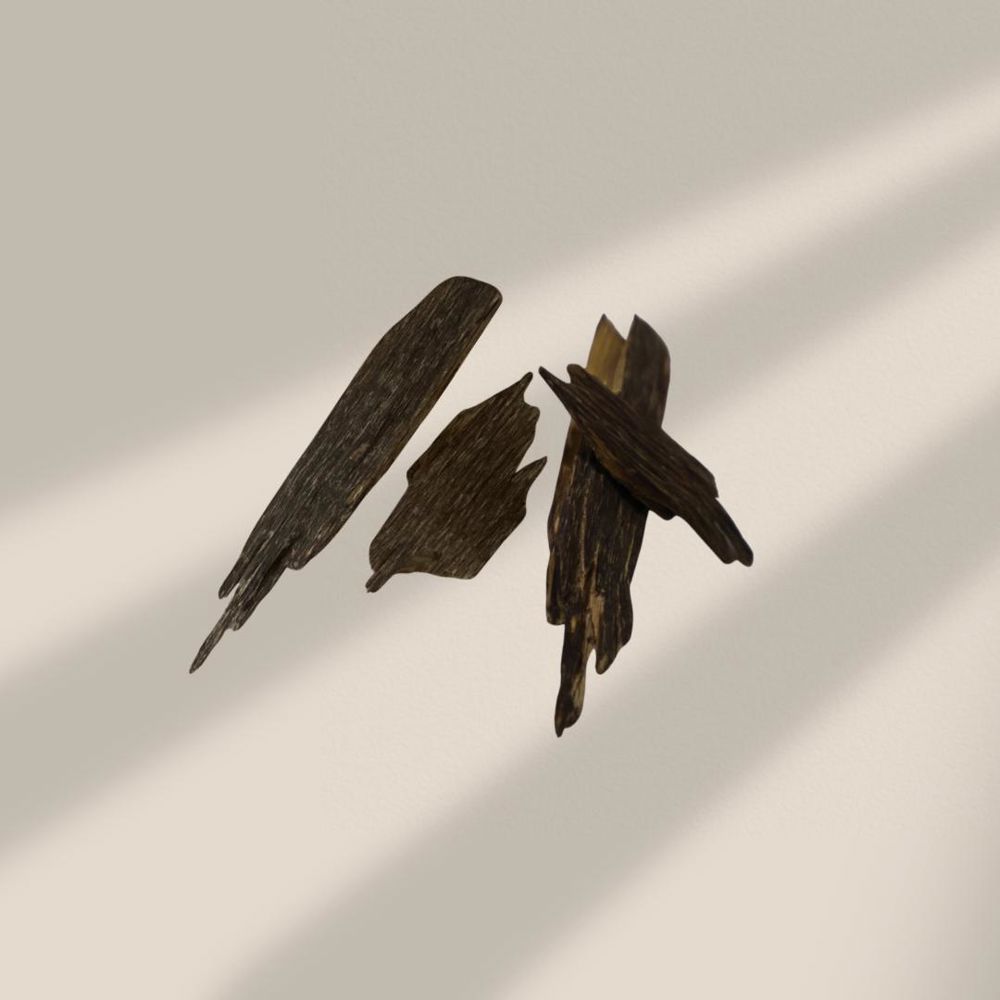عود خاص_thumbnail_0